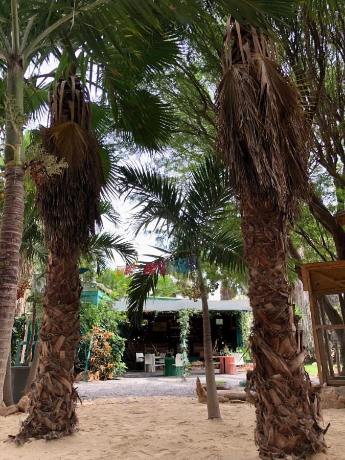 Tropical Morabeza Apartment 圣玛丽亚 外观 照片